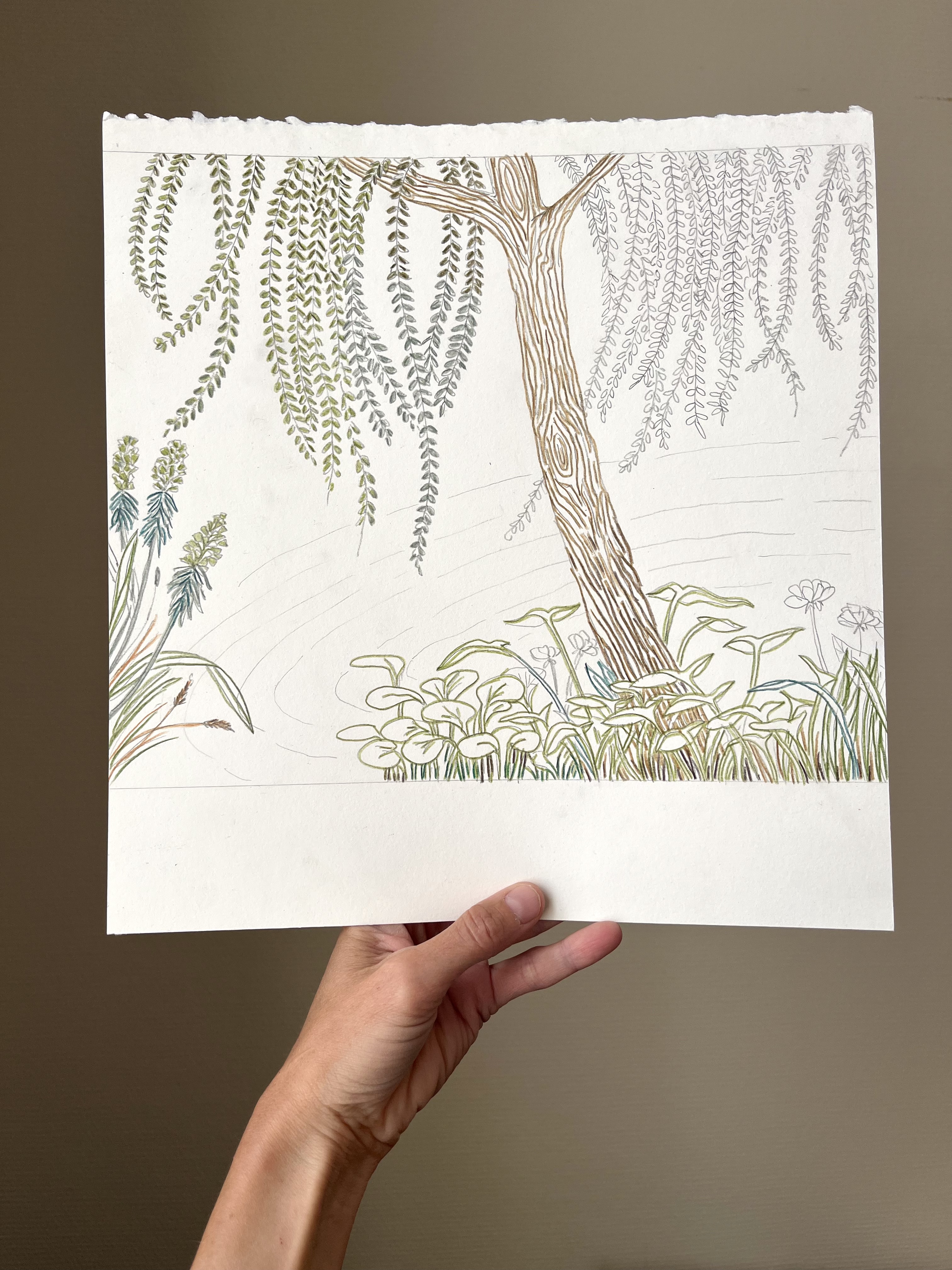 Dessins préparatoires