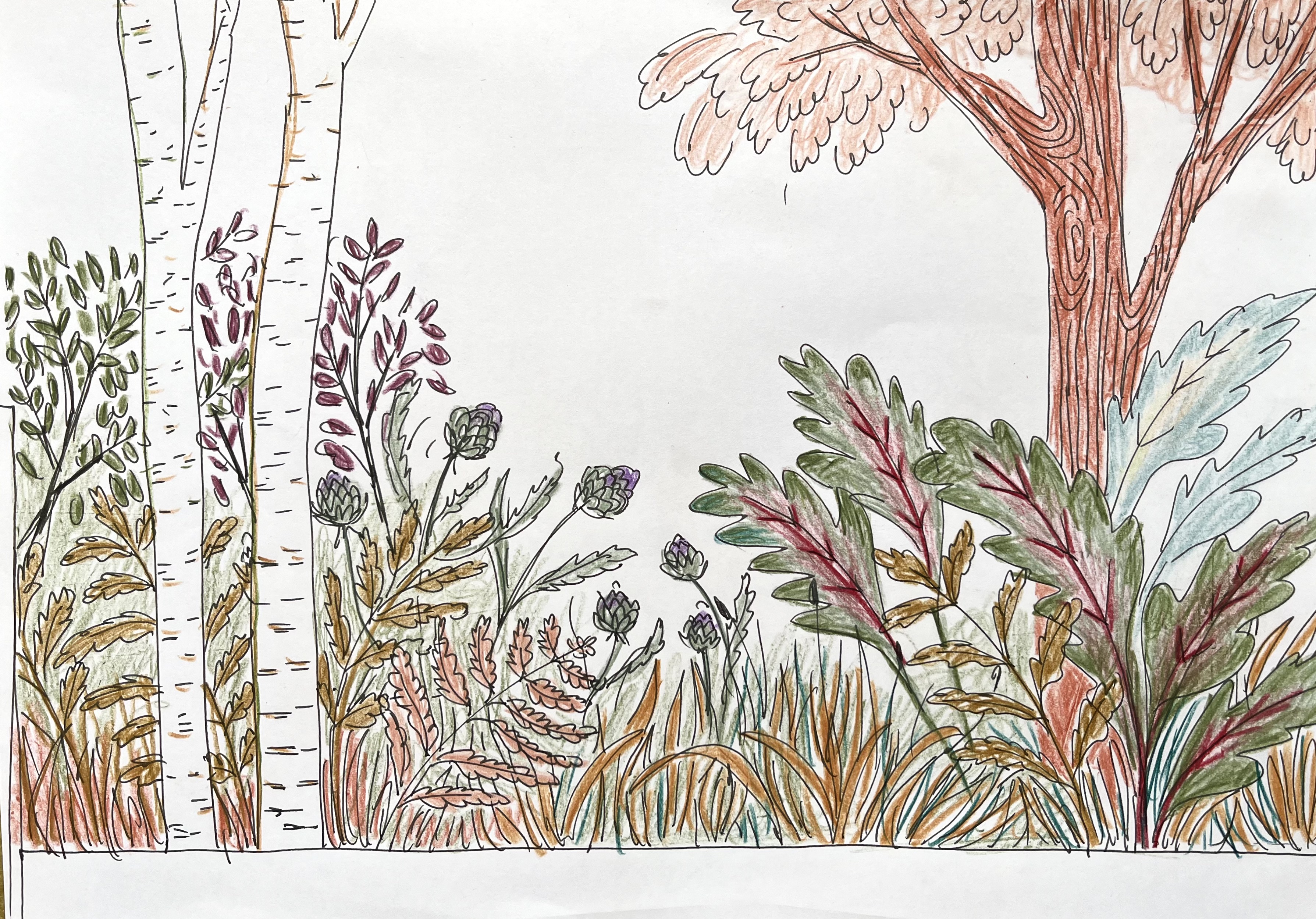 Dessins préparatoires