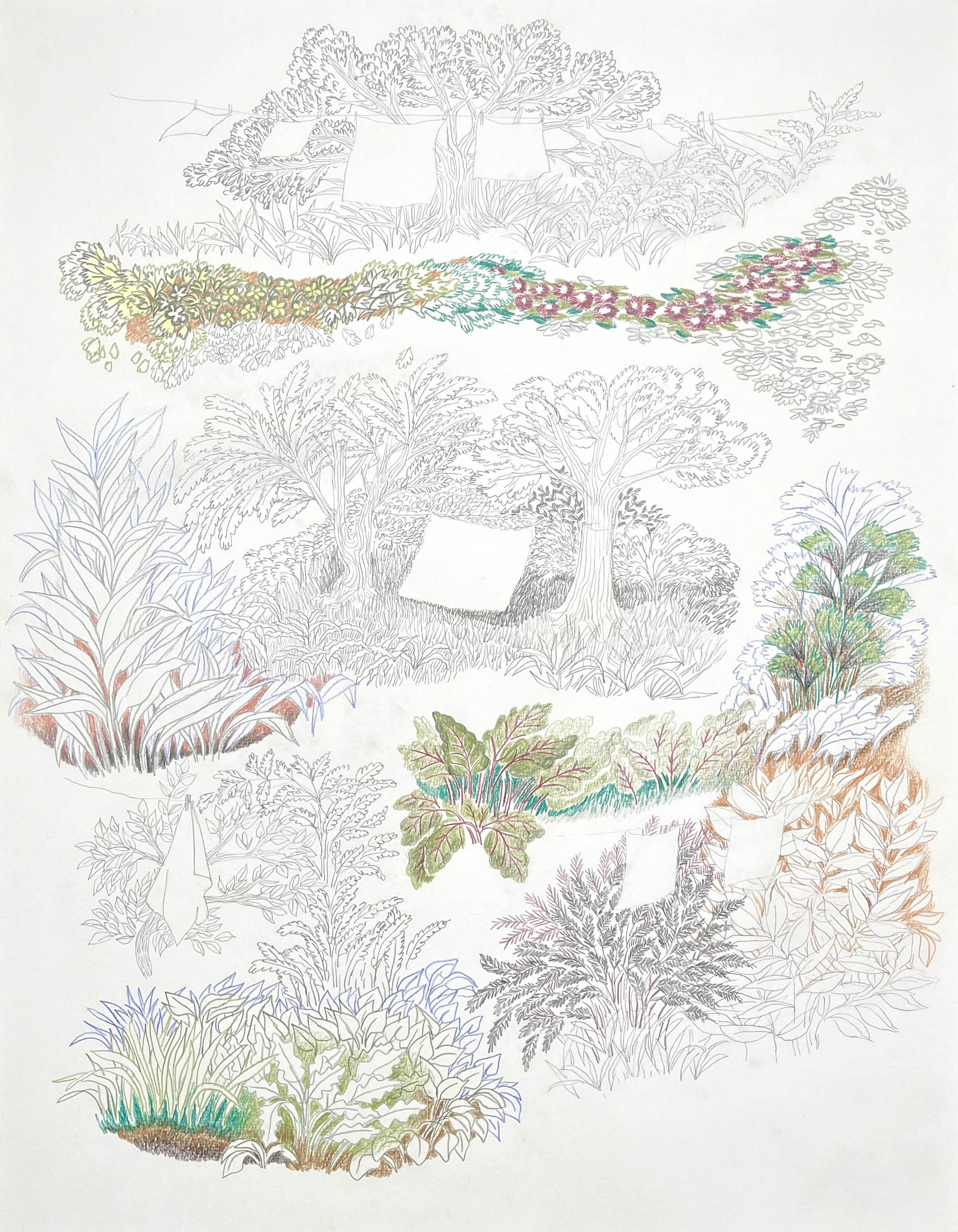 Dessin Saynètes Linges
format 65 par 50 cm